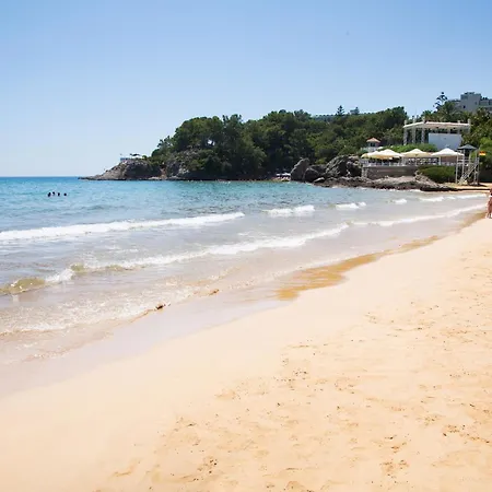 Art Life Αλάνια