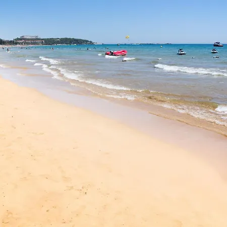 Art Life * 阿拉尼亚