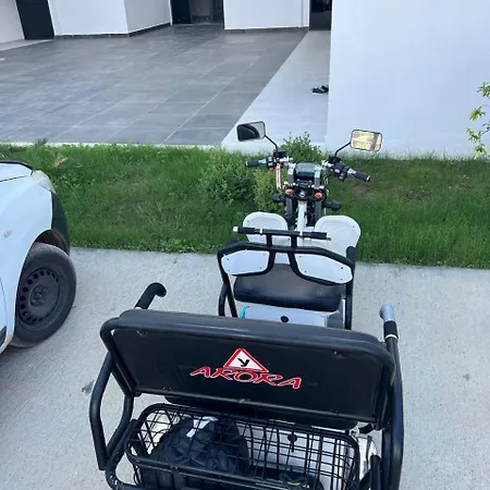 Art Life 阿拉尼亚